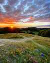 moen-landskab-solnedgang